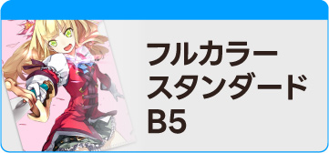 フルカラー スタンダードB5