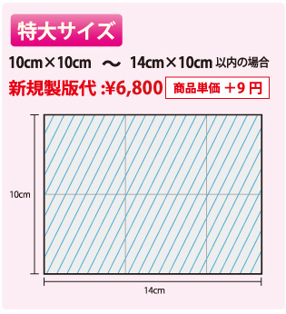 版サイズ 特大サイズ