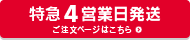特急便4営業日発送ご注文はこちら