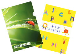 図鑑・教材の付録についているクリアファイル