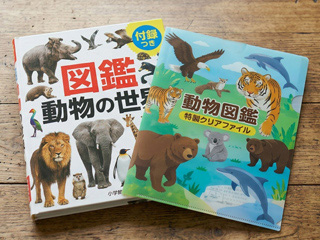単価が低く、用途に合わせて制作できるクリアファイル